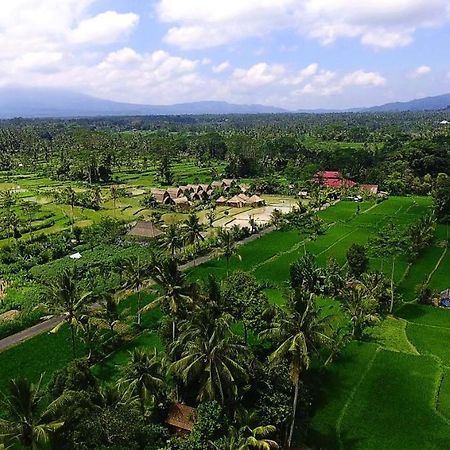 De Klumpu Bali Eco Tradi Stay Bangli Экстерьер фото