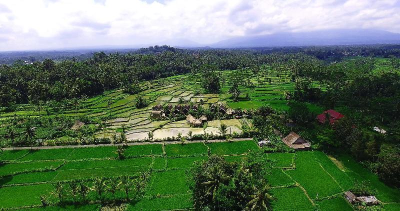 De Klumpu Bali Eco Tradi Stay Bangli Экстерьер фото