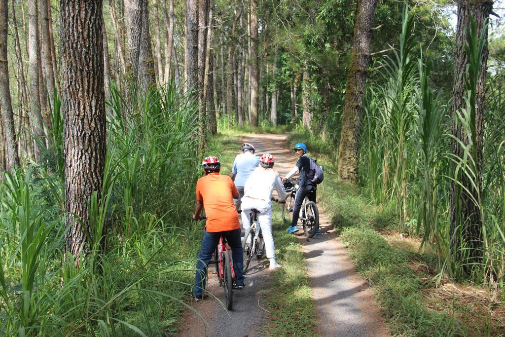 De Klumpu Bali Eco Tradi Stay Bangli Экстерьер фото
