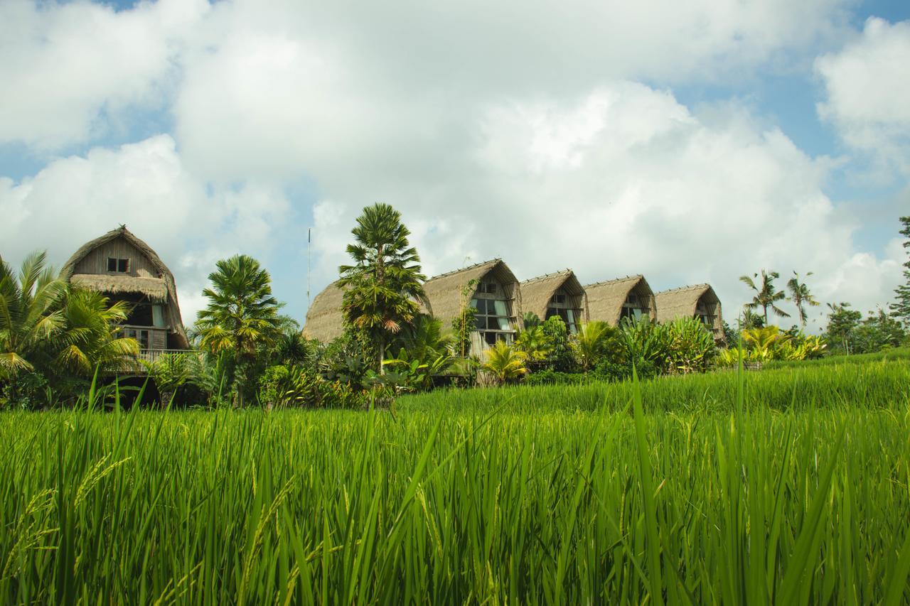 De Klumpu Bali Eco Tradi Stay Bangli Экстерьер фото