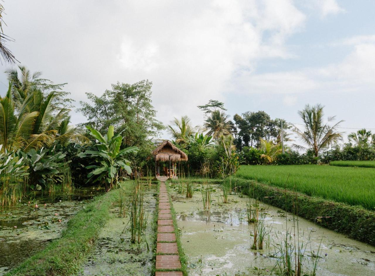 De Klumpu Bali Eco Tradi Stay Bangli Экстерьер фото